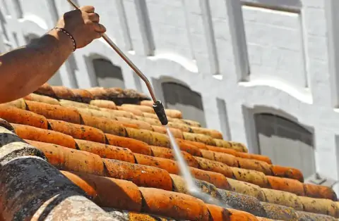 Nettoyage de toitures - Pullay